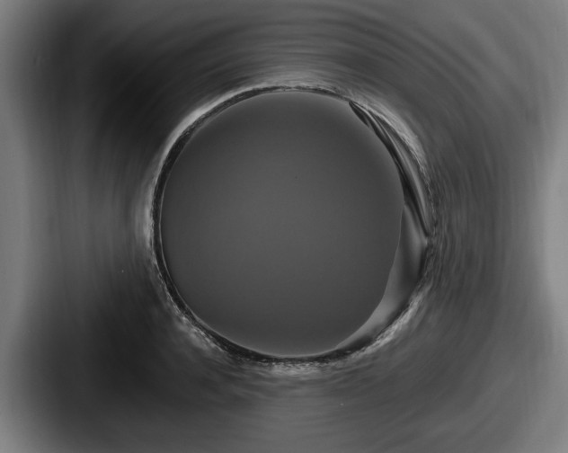 X0000087700944200705111400