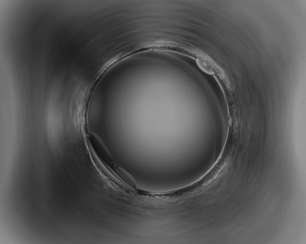 X0000087700945200705111400