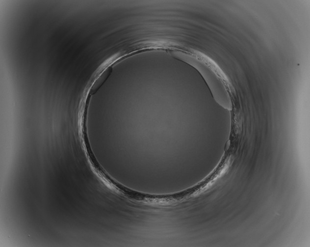 X0000087700946200705111400