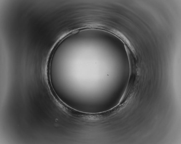 X0000087700947200705111400