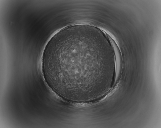 X0000087700949200705111401