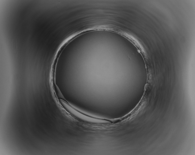 X0000087700952200705111401