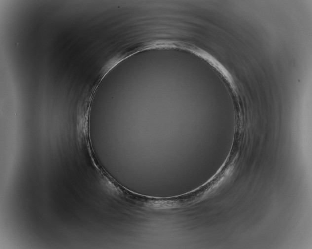 X0000087700953200705111401