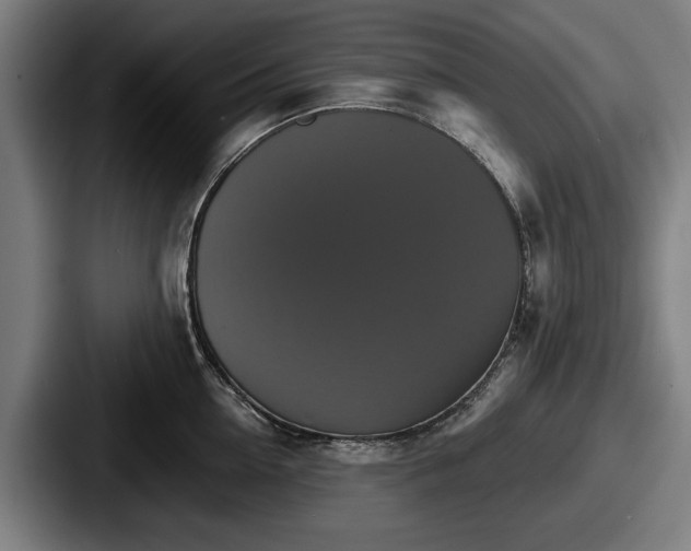 X0000087700954200705111401