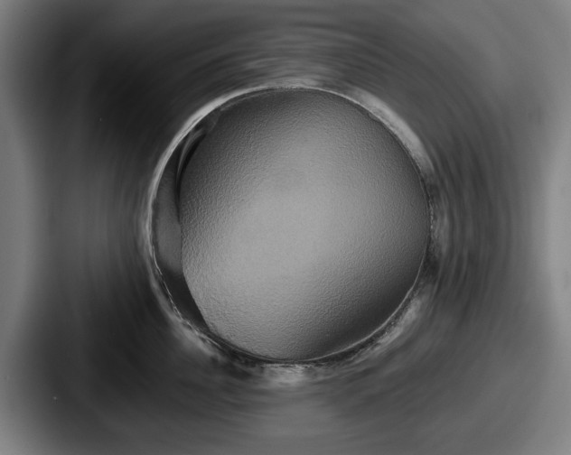 X0000087700956200705111401