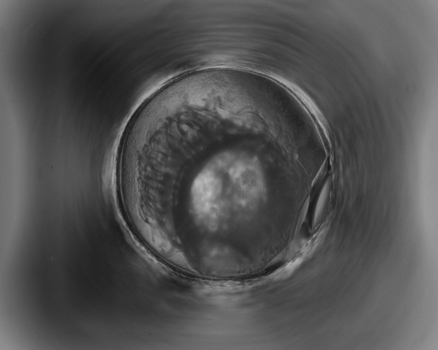 X0000087700957200705111401