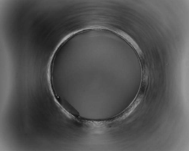 X0000087700958200705111401