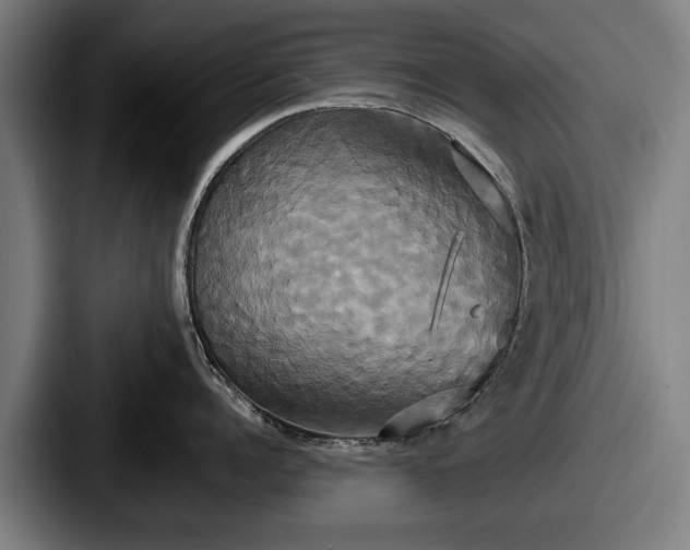 X0000087700960200705111401