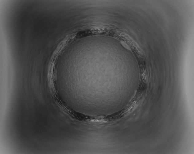 X0000087700961200705111400