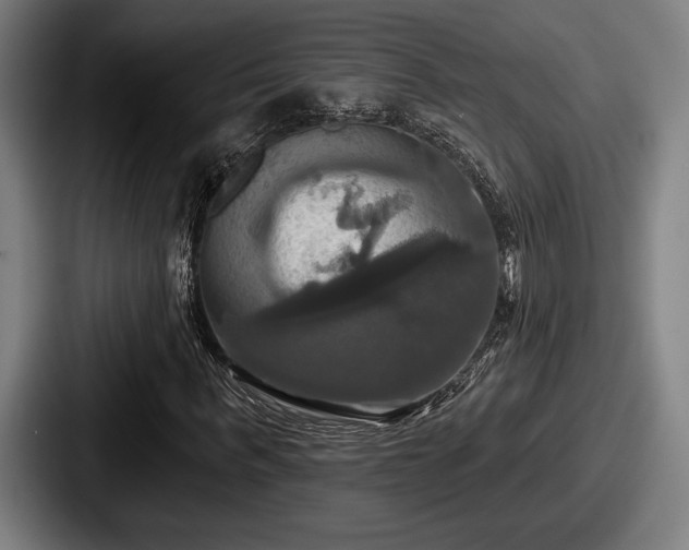 X0000087700963200705111400