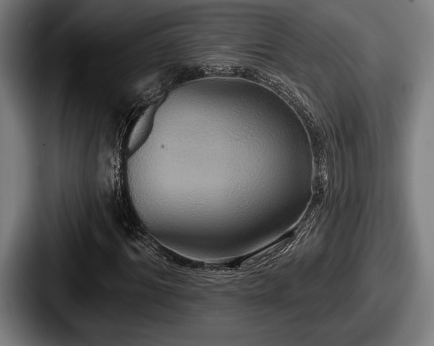 X0000087700964200705111400