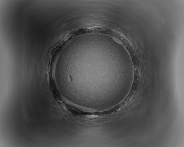 X0000087700965200705111400