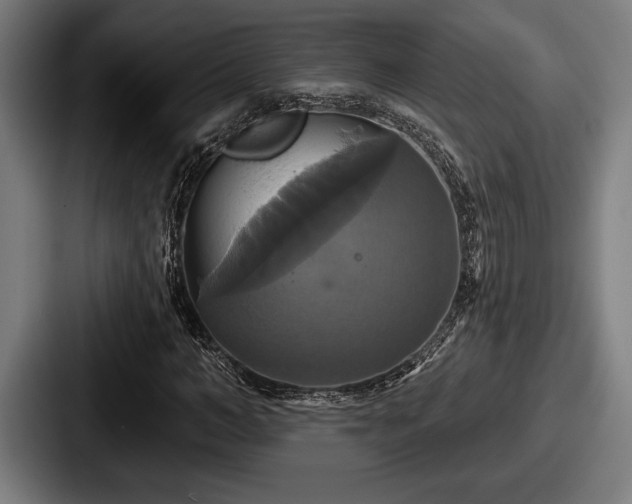 X0000087700966200705111400