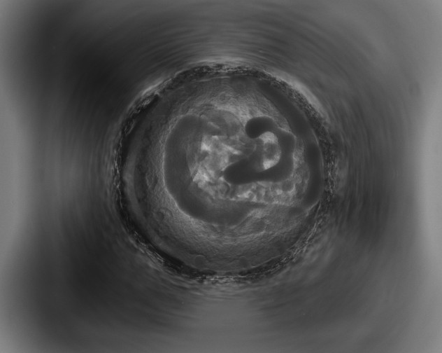 X0000087700967200705111400