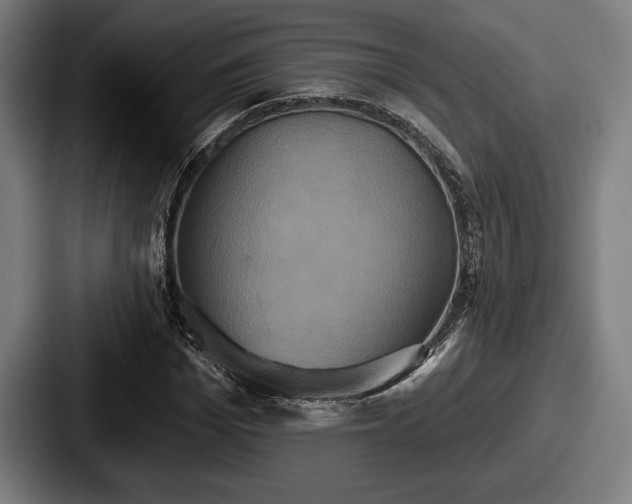 X0000087700969200705111400