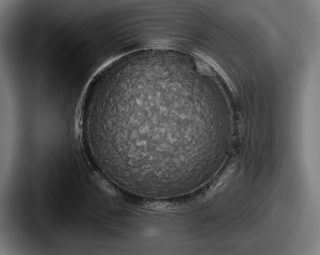 X0000087700971200705111400