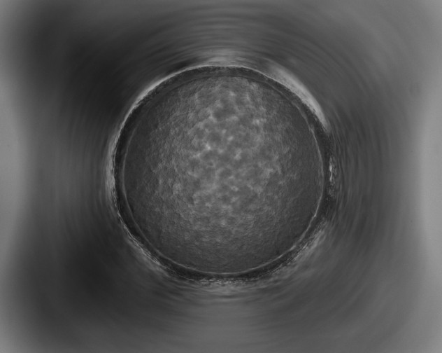 X0000087700972200705111400