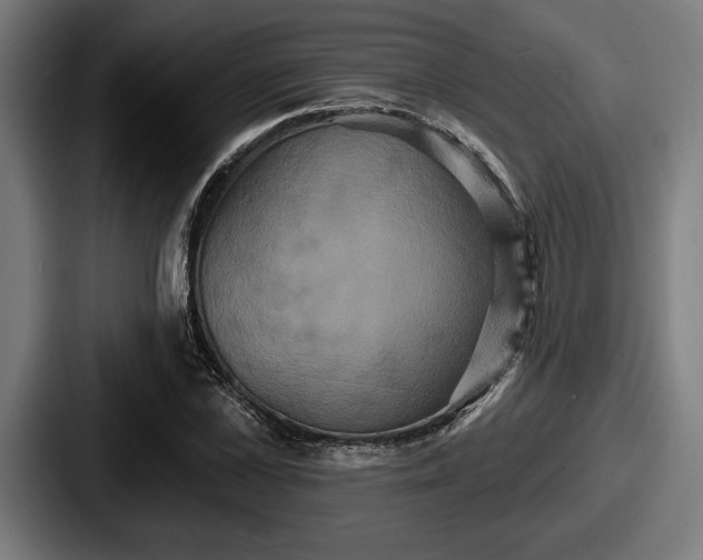 X0000087700973200705111400