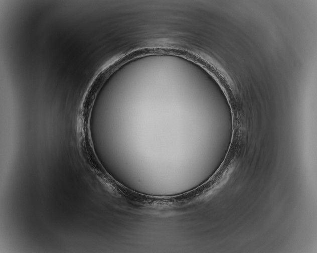 X0000087700974200705111400