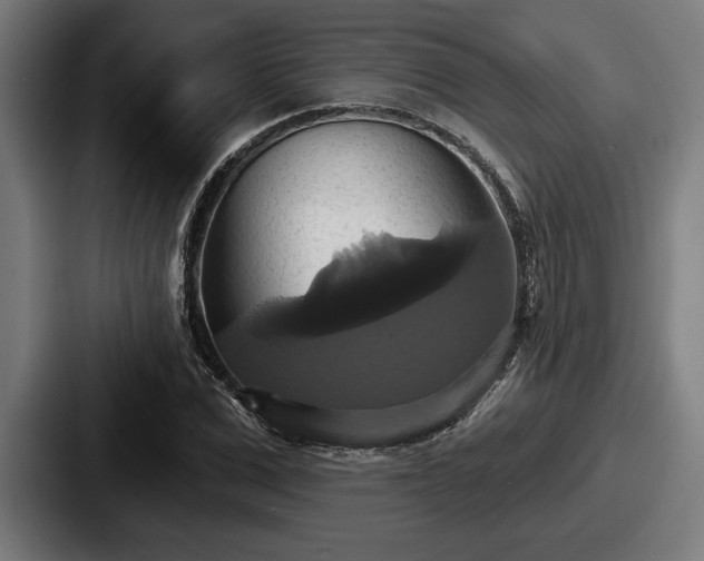 X0000087700975200705111400