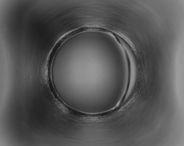 X0000087700976200705111400