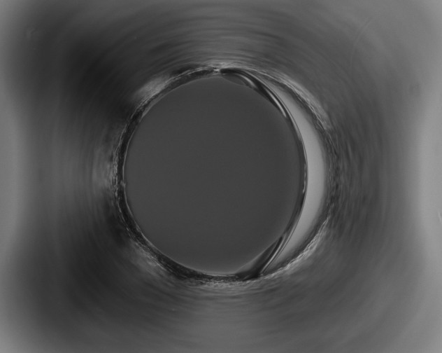 X0000087700977200705111400