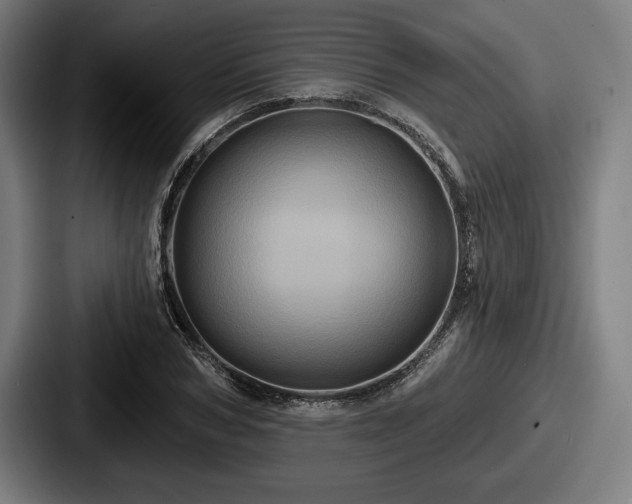 X0000087700978200705111400