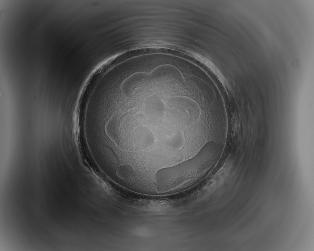 X0000087700979200705111400