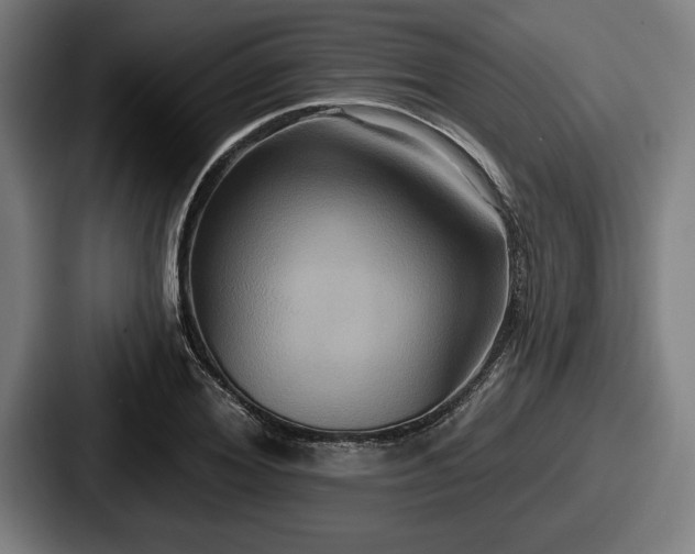 X0000087700980200705111400