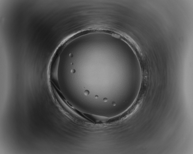 X0000087700981200705111400