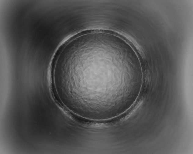 X0000087700982200705111400