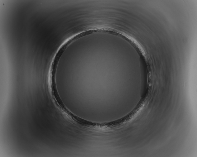 X0000087700983200705111400