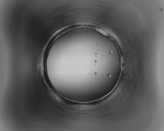 X0000087700984200705111400