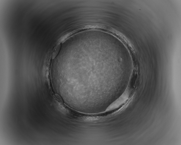 X0000087700985200705111400