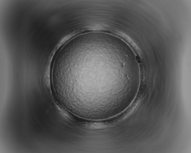 X0000087700986200705111400