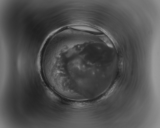 X0000087700987200705111400