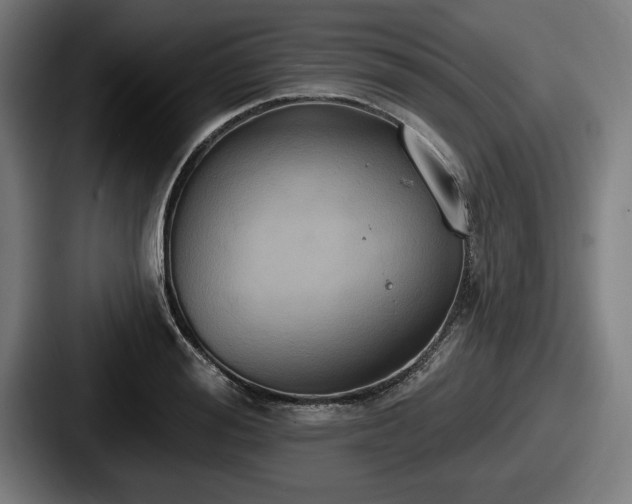 X0000087700988200705111400