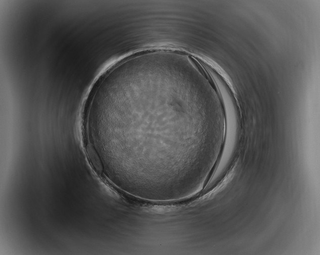 X0000087700989200705111400