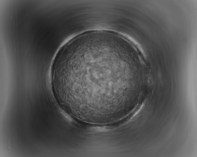 X0000087700990200705111400