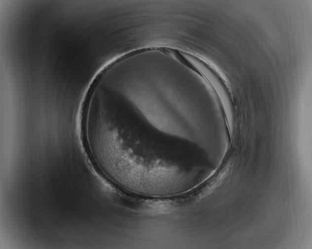 X0000087700991200705111400