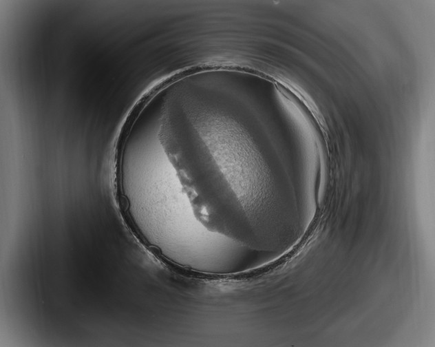 X0000087700992200705111400