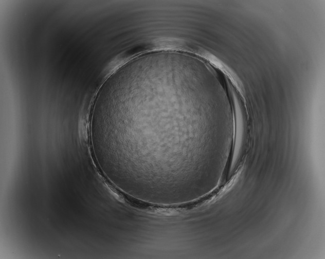 X0000087700993200705111400