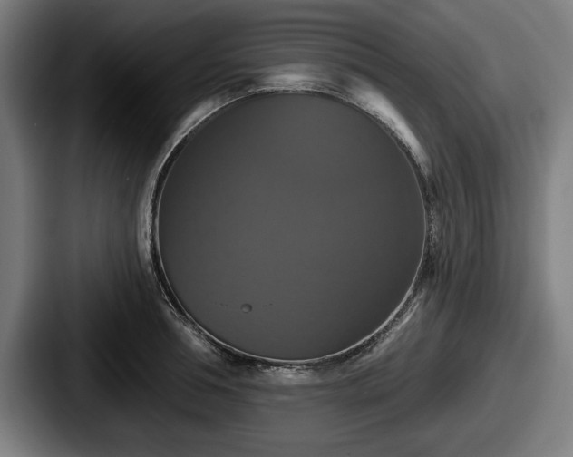 X0000087700994200705111400