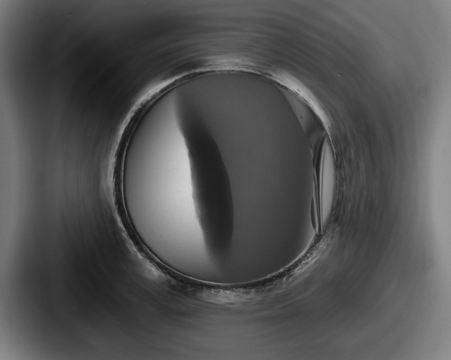 X0000087700995200705111400