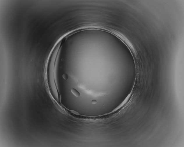 X0000087700996200705111400