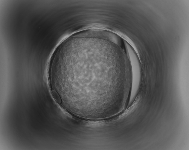 X0000087700997200705111400