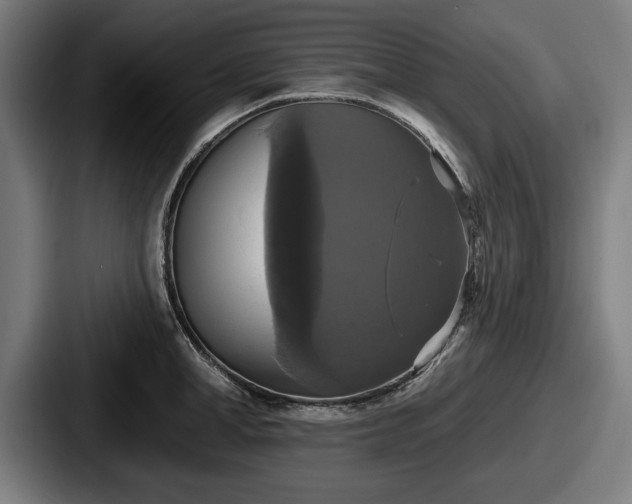 X0000087700998200705111400