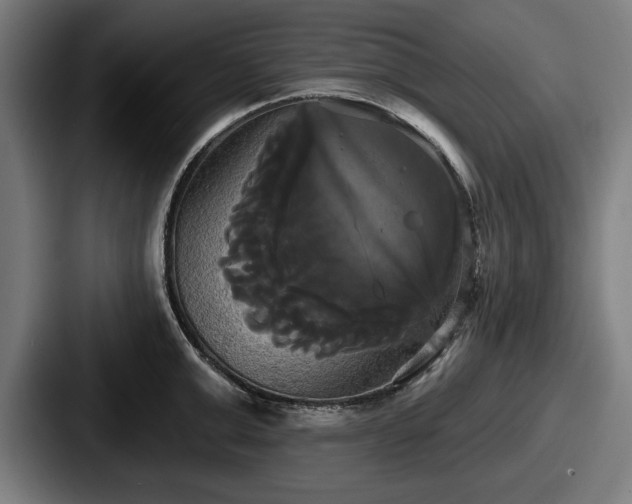 X0000087700999200705111400