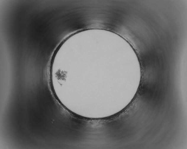 X0000087701000200705111400