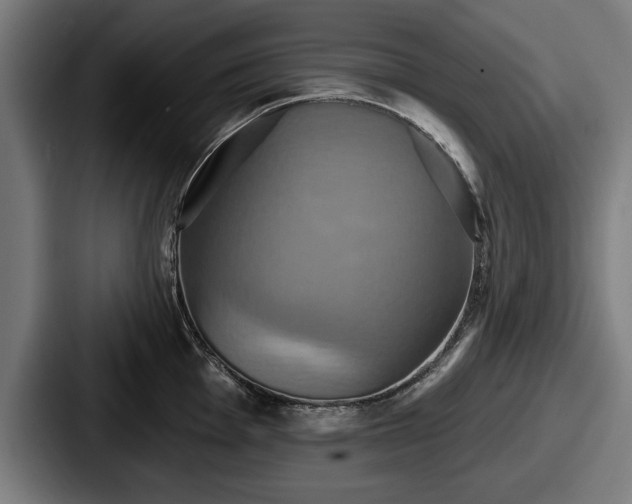 X0000087701001200705111400